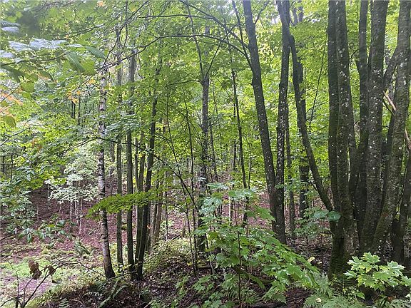 3rd image of 00 N Minnesota Ridge Ln