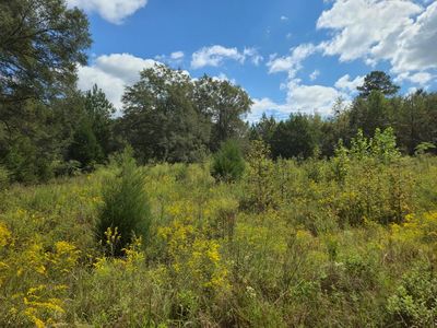 0 Brighton Ct, Americus, GA, 31709