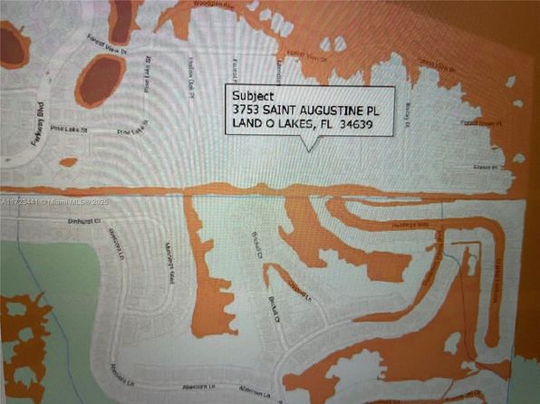 3753 Saint Augustine Pl, Land O Lakes, FL 34639