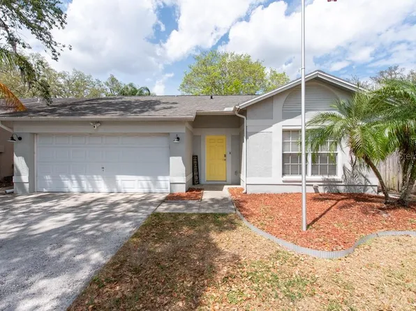 2604 Shilo Ct, Valrico, FL 33596