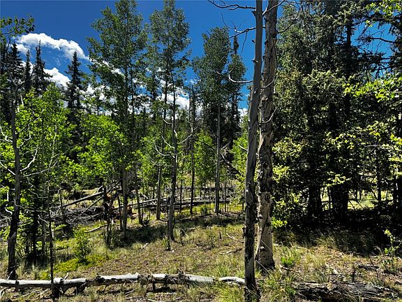3rd image of 585 Haida Lane