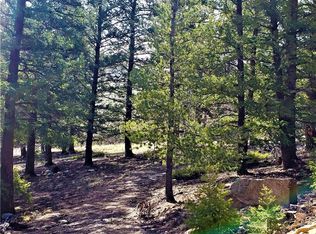 2468 Redhill Rd, Fairplay, CO 80440