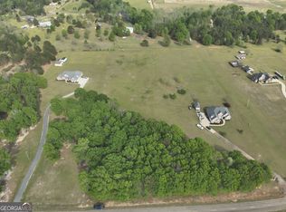 224 Scott Rd, Elko, GA 31025