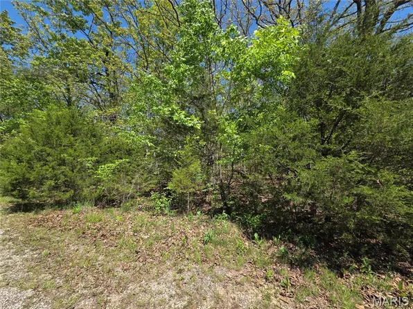 2402 San Chez Dr, Cuba, MO 65453
