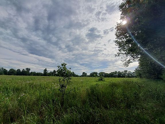 Back Of Property Line