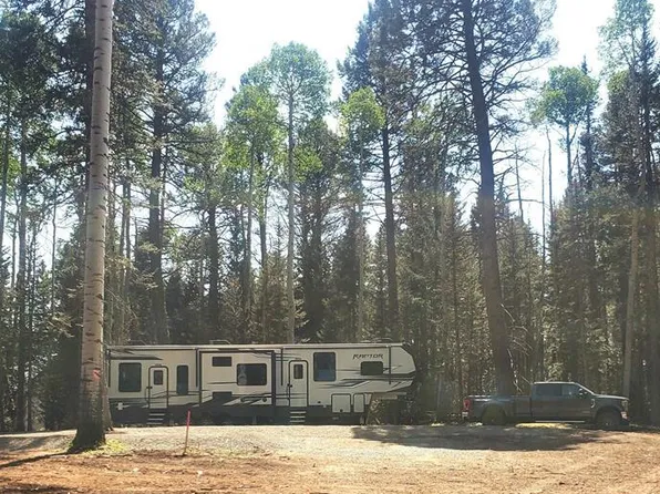 395 Aspen Trail, Cimarron, CO 81220