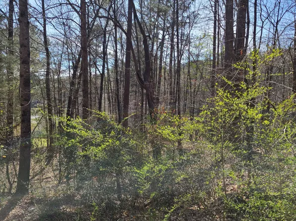 LOT 1D Holtzclaw Rd, Grantville, GA 30220