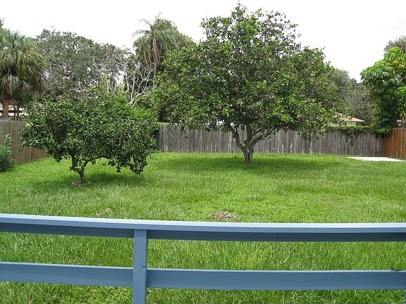 Backyard3