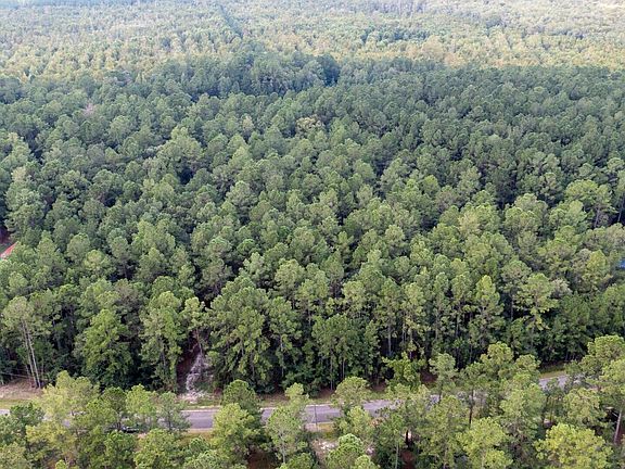 2nd image of V/l 16 Forest Trce