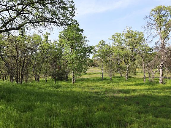 5th image of 10 Douglas Rd S