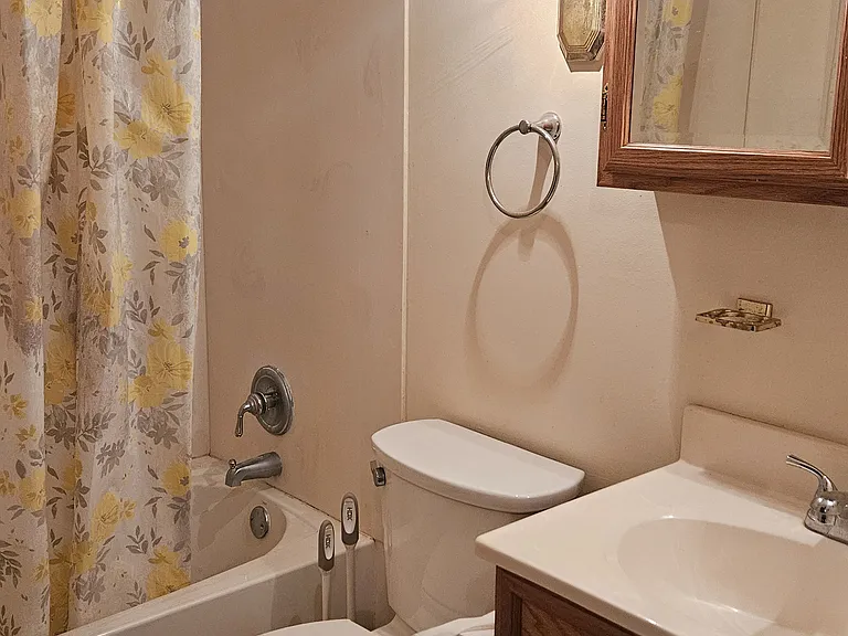 Hall Bathroom