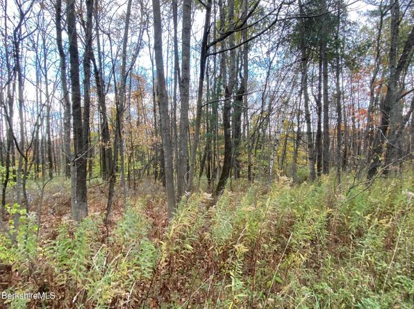 93 Washington Mountain Rd, Becket, MA 01223