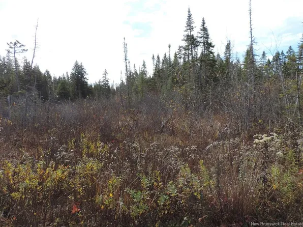 Old Gardner Creek Rd, Simonds, NB E2S 0E9