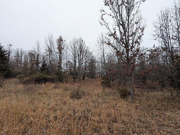 5th image of 1800 State Highway O