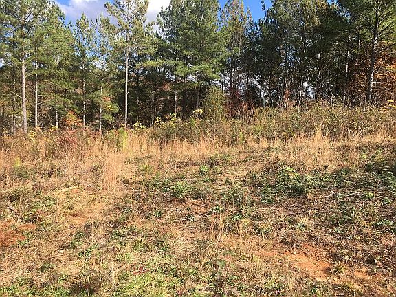 3rd image of LOT 8 Stone Creek Dr
