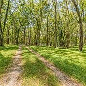 2nd image of 0 Sharp Springs Rd #1