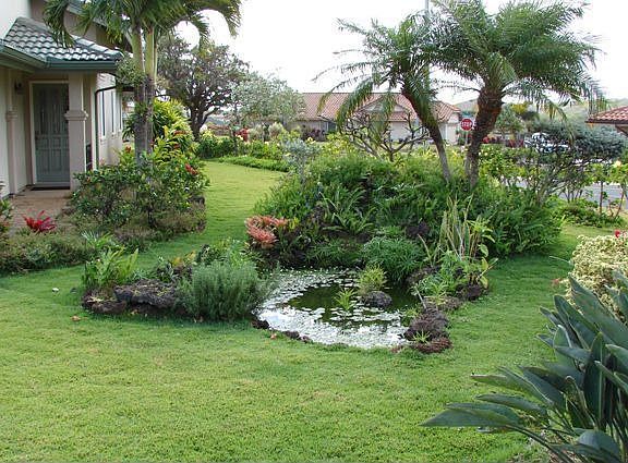 Water feature in yard