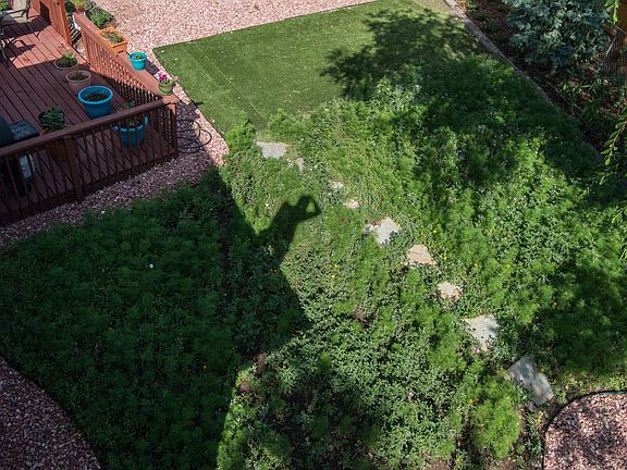 Water-wise wildflower area