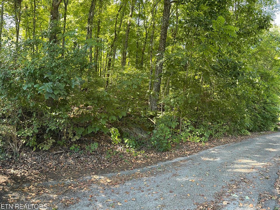 2nd image of Dogwood Trl
