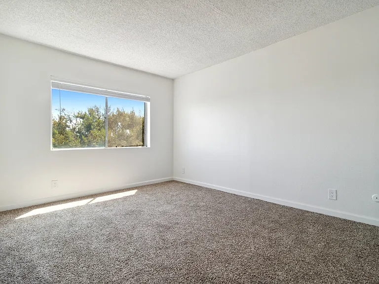 Carpeted Bedroom