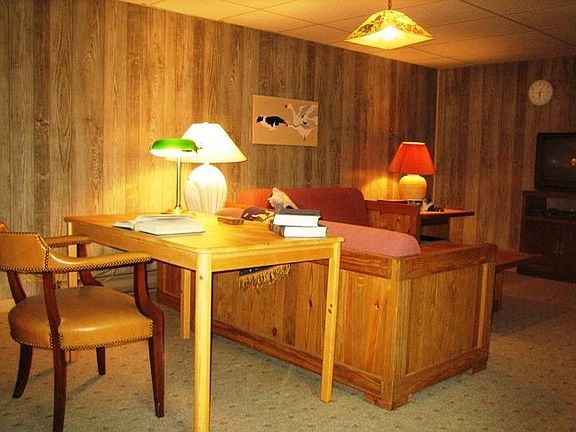 nice finished family room in lower level