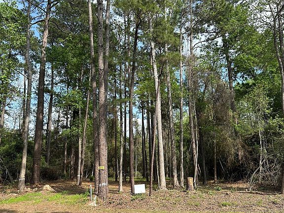 3rd image of 775 Huckleberry Rd