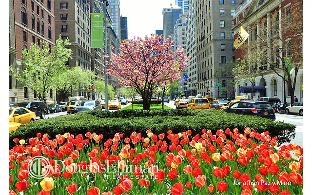 Sold by Douglas Elliman | media 9