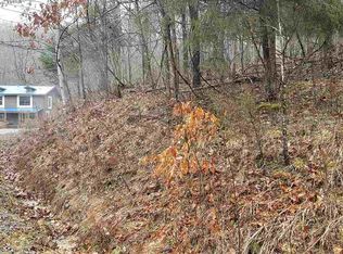 1658 Snake Hollow Rd, Sneedville, TN 37869