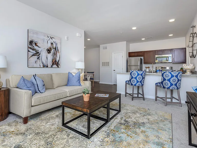 Riverstone Apartments at Long Shoals — Photo 7