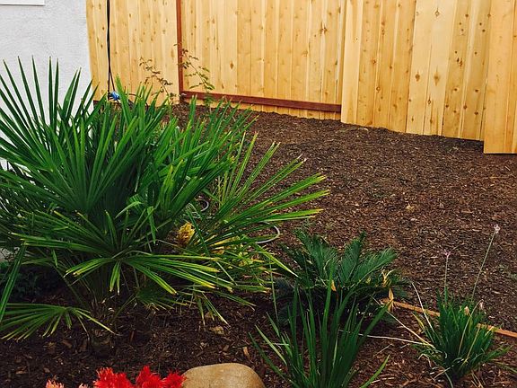 Private yard