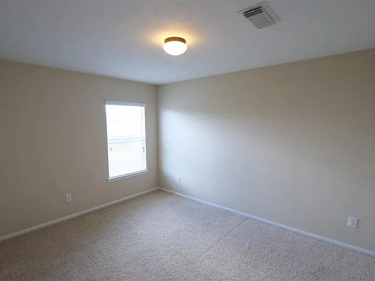 3827 Pine Forest Green Blvd — Photo 19