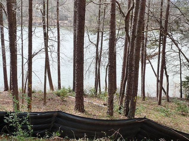 2nd image of 127 Sweet Pea Ln