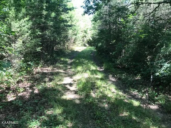 County Road 875, Etowah, TN 37331