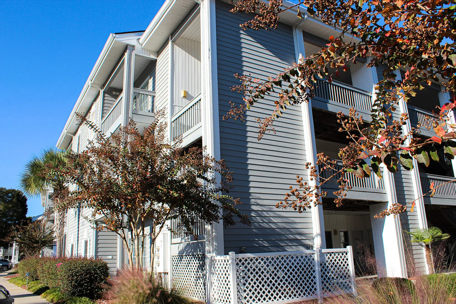 1 bed, 1.0 bath, 753 sqft, $1,206 — Photo 3