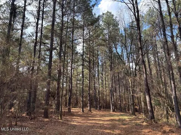 48135 Louisiana Industries Rd #438, Franklinton, LA 70438