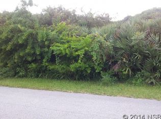 6454 Engram Rd, New Smyrna Beach, FL 32169