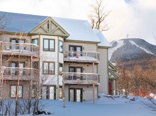 296 Bridge Rd UNIT 4768, North Troy, VT 05859