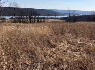 0 W Waneta Lake Rd, Hammondsport, NY 14840