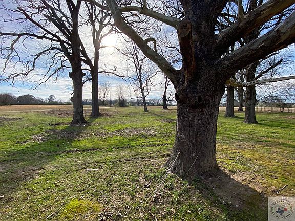 5th image of 346 County Road 3114