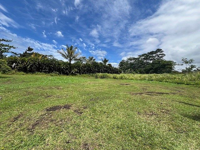 1st image of 13th Ave Lot 1113