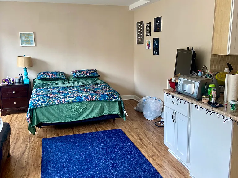 3420 N Lake Shore Dr #12J — Photo 4