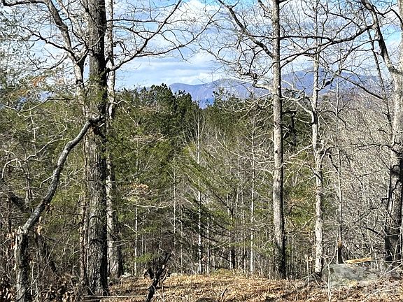 4th image of 0 Millcreek Way