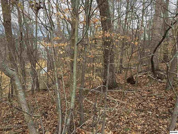 2nd image of 2200 Woods Ridge Rd Lot 0