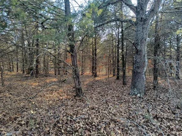 000 County Road 648, Theodosia, MO 65761