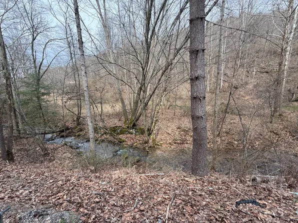 Kanawha Run Rd, Sutton, WV 26601