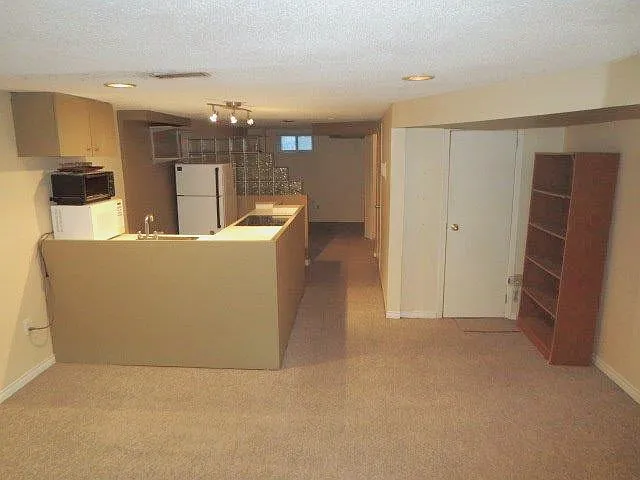 829 Pape Ave #BASEMENT — Photo 3