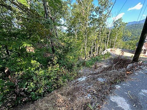 2nd image of LOT 155 Gatlin Dr