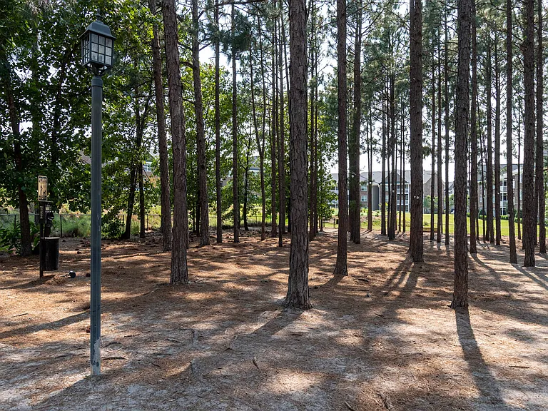 Luxe and Legends at Morganton Park Apartment Homes — Photo 41