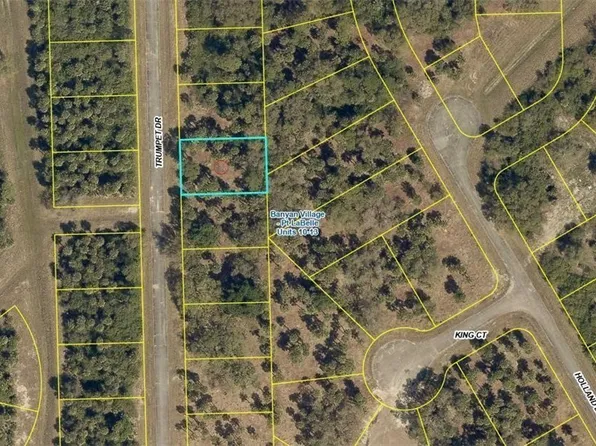 611 Trumpet Dr, Labelle, FL 33935