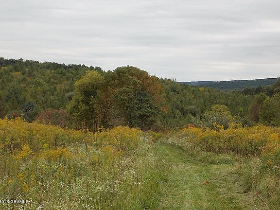2nd image of LOT 17 Lot 17 Green Horizon Farm